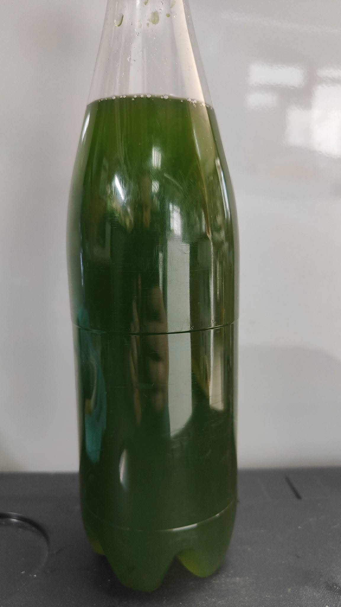 Phytoplancton vivant 250ml