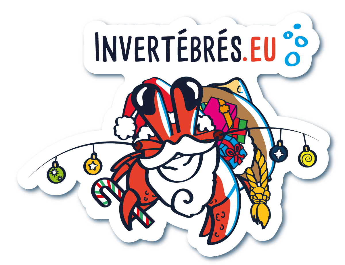 Bienvenue sur invertébrés.eu, spécialisé en envoi d'invertébrés marins et eau douce!